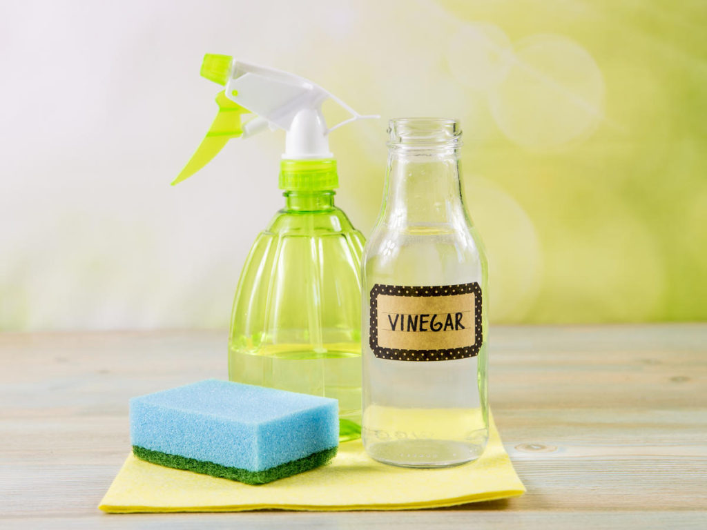 Vinegar a Disinfectant