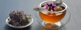 wellhealthorganic.com:5-herbal-teas-you-can-consume-to-get-relief-from-bloating-and-gas