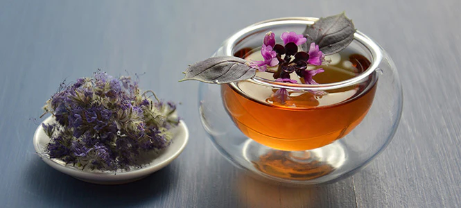 wellhealthorganic.com:5-herbal-teas-you-can-consume-to-get-relief-from-bloating-and-gas