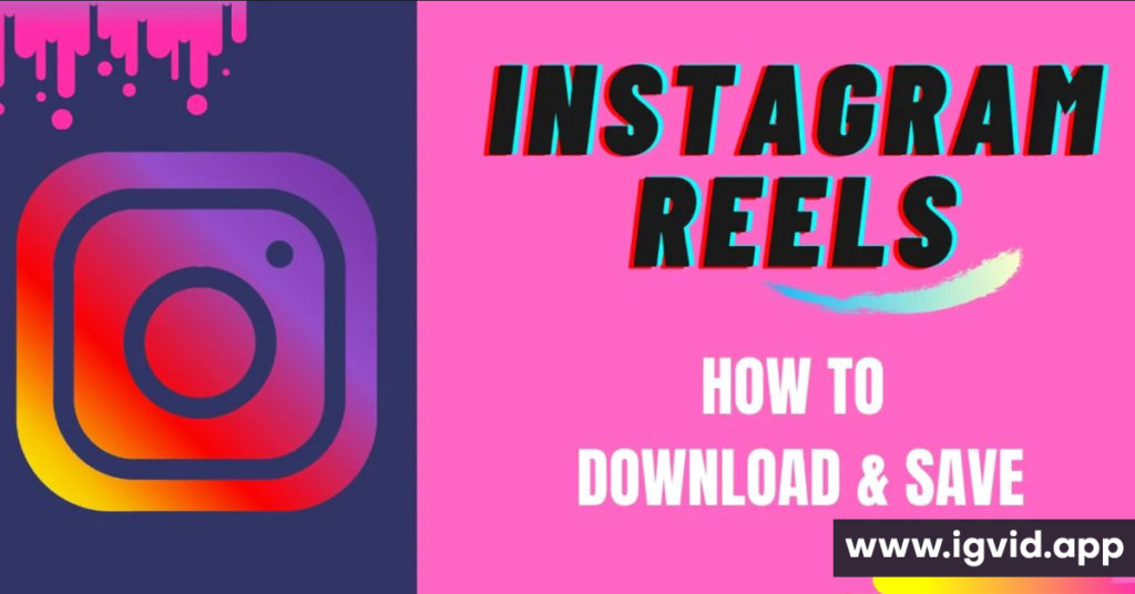 Reels Download Instagram Video