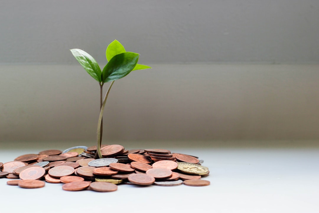 Photo Money tree